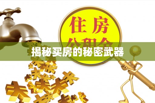 邓州揭秘买房的秘密武器
